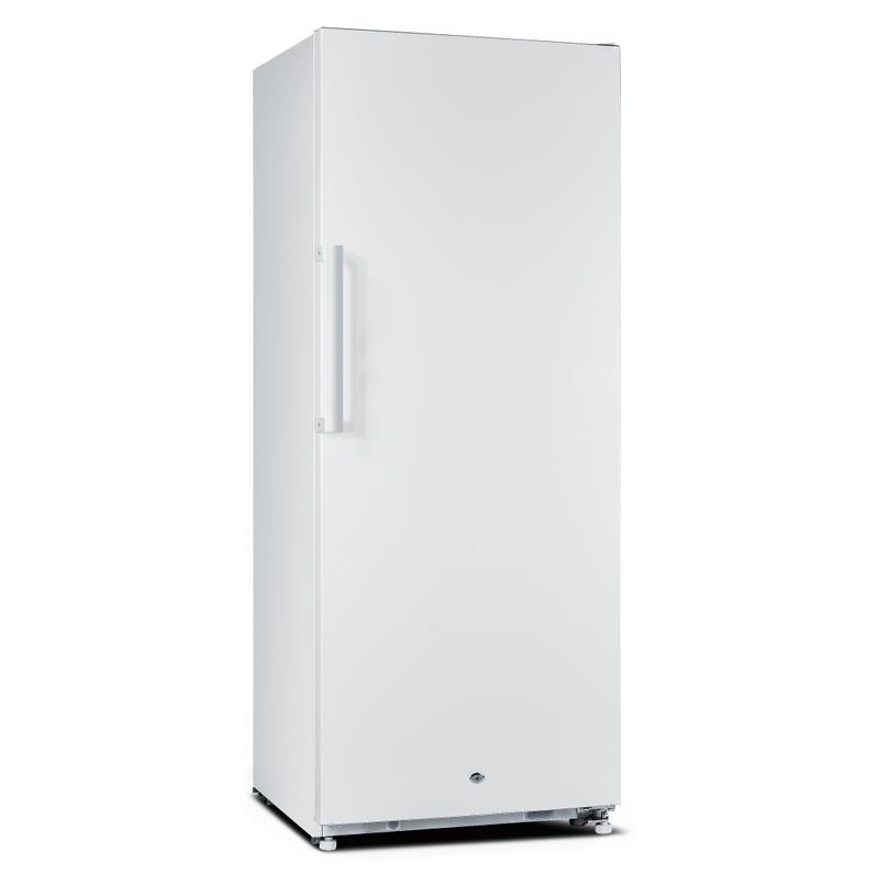 d942dfd3-ee72-4b42-9171-24e5475ef3d5 d942dfd3 - Image 1